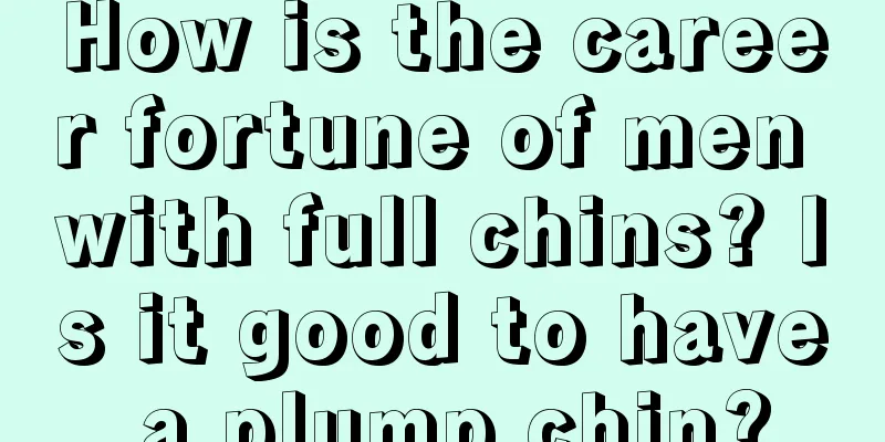 How is the career fortune of men with full chins? Is it good to have a plump chin?