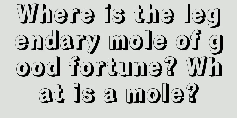 Where is the legendary mole of good fortune? What is a mole?