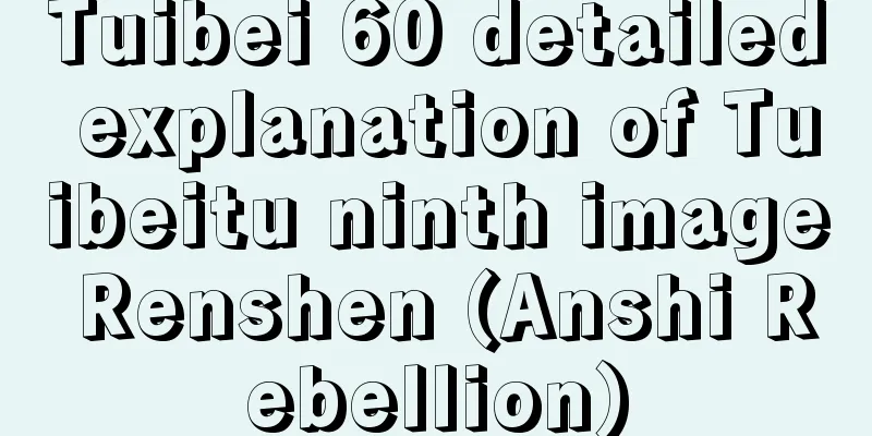 Tuibei 60 detailed explanation of Tuibeitu ninth image Renshen (Anshi Rebellion)