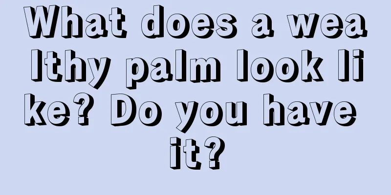 What does a wealthy palm look like? Do you have it?
