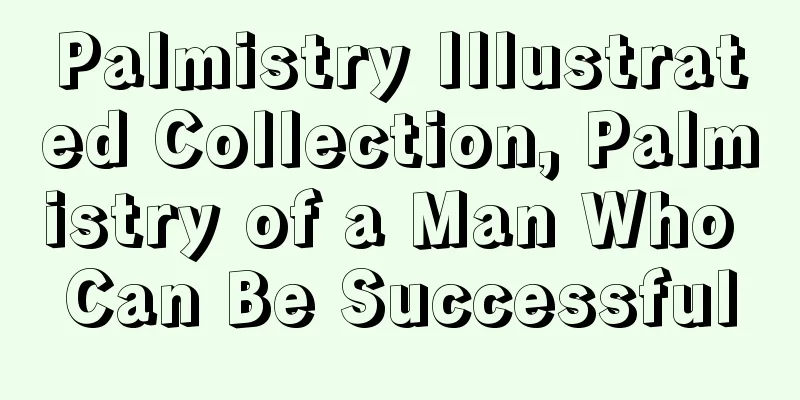 Palmistry Illustrated Collection, Palmistry of a Man Who Can Be Successful