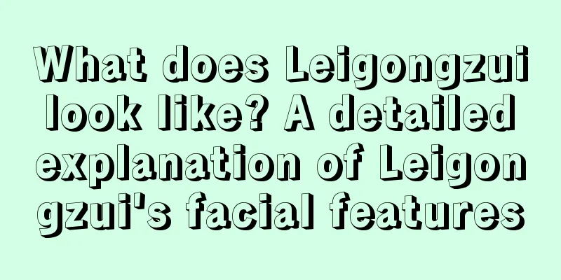 What does Leigongzui look like? A detailed explanation of Leigongzui's facial features