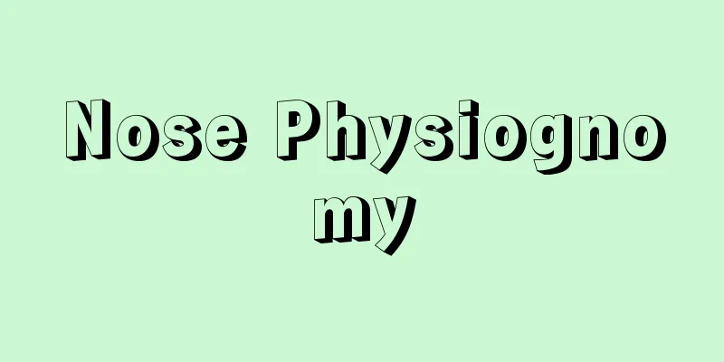 Nose Physiognomy