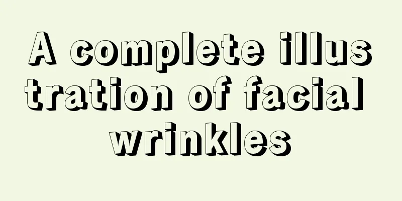 A complete illustration of facial wrinkles