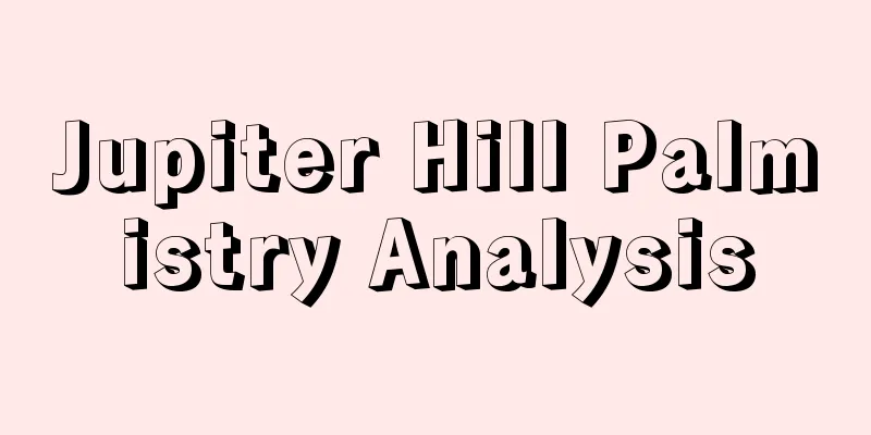 Jupiter Hill Palmistry Analysis