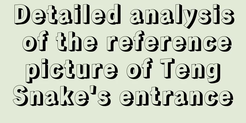 Detailed analysis of the reference picture of Teng Snake's entrance