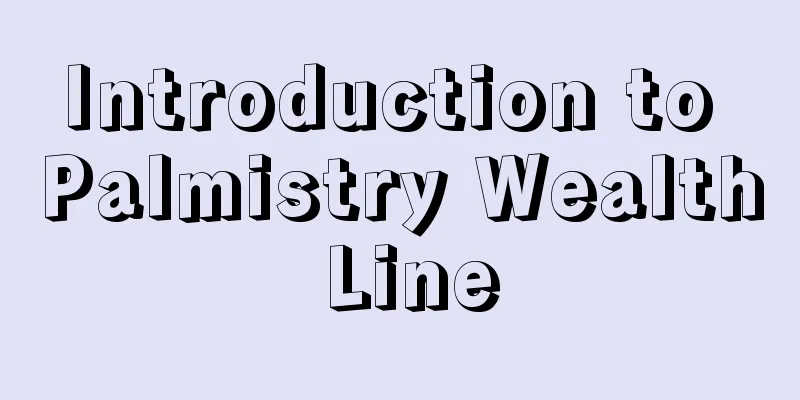Introduction to Palmistry Wealth Line