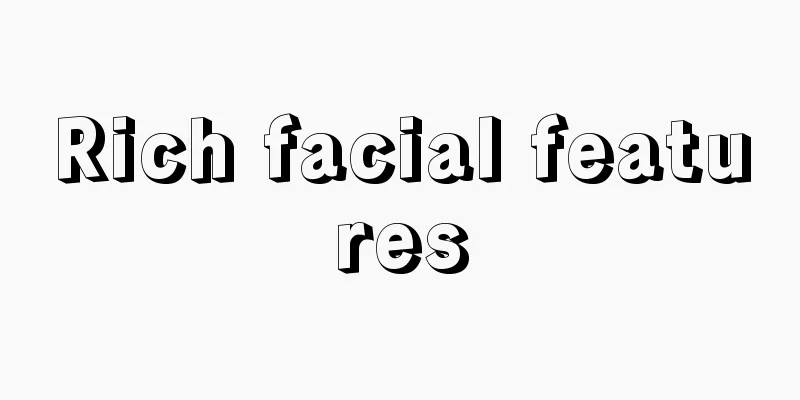 Rich facial features