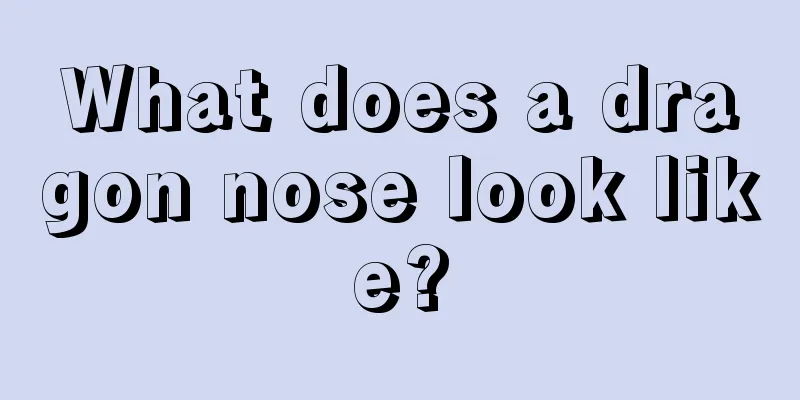 What does a dragon nose look like?