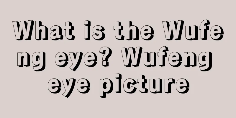 What is the Wufeng eye? Wufeng eye picture