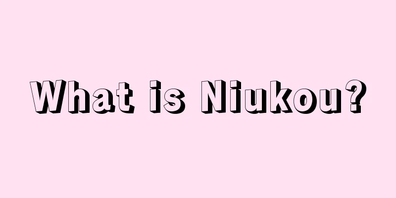 What is Niukou?
