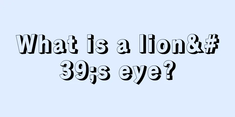 What is a lion's eye?