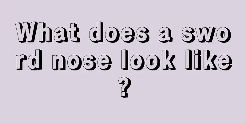 What does a sword nose look like?