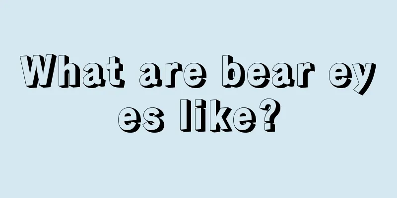 What are bear eyes like?