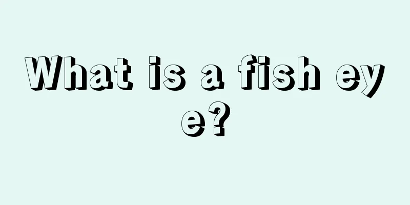 What is a fish eye?