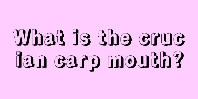 What is the crucian carp mouth?