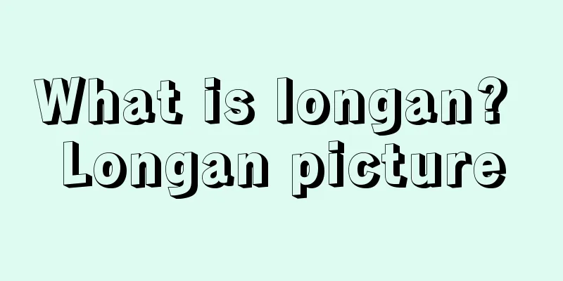 What is longan? Longan picture