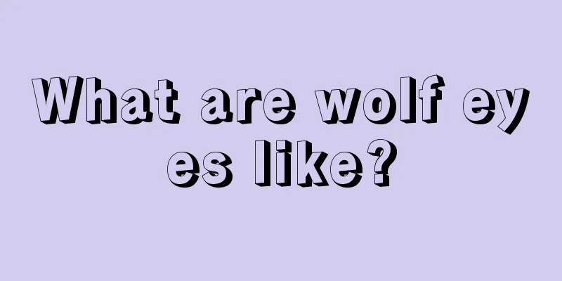 What are wolf eyes like?