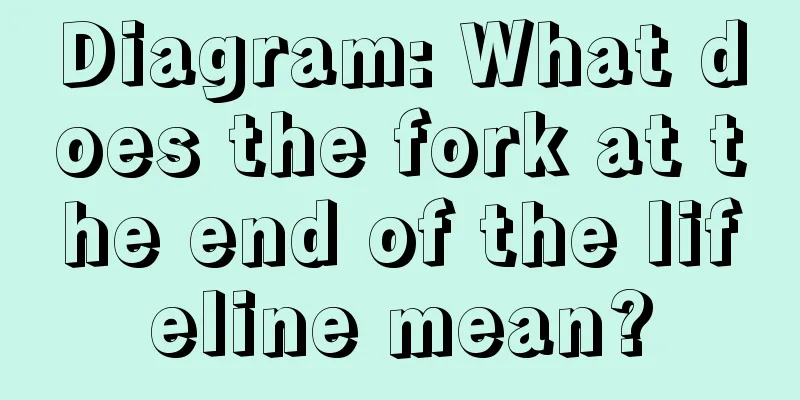 Diagram: What does the fork at the end of the lifeline mean?