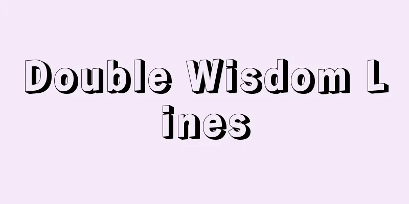 Double Wisdom Lines