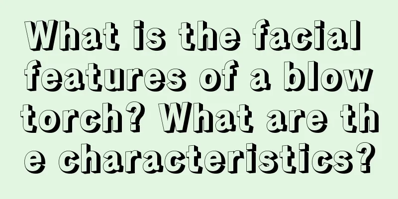 What is the facial features of a blowtorch? What are the characteristics?
