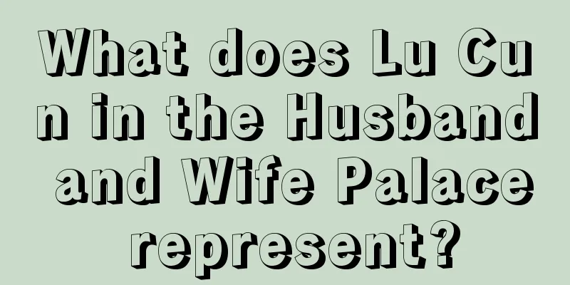 What does Lu Cun in the Husband and Wife Palace represent?