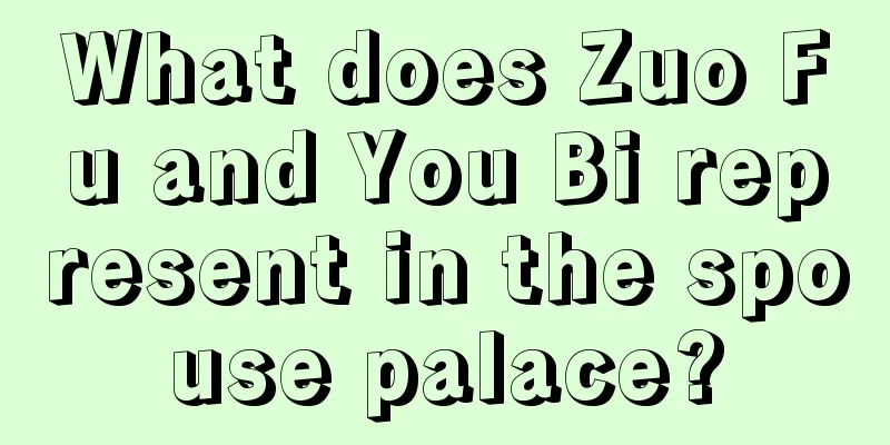 What does Zuo Fu and You Bi represent in the spouse palace?