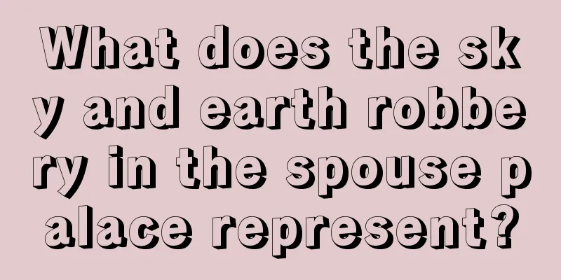 What does the sky and earth robbery in the spouse palace represent?