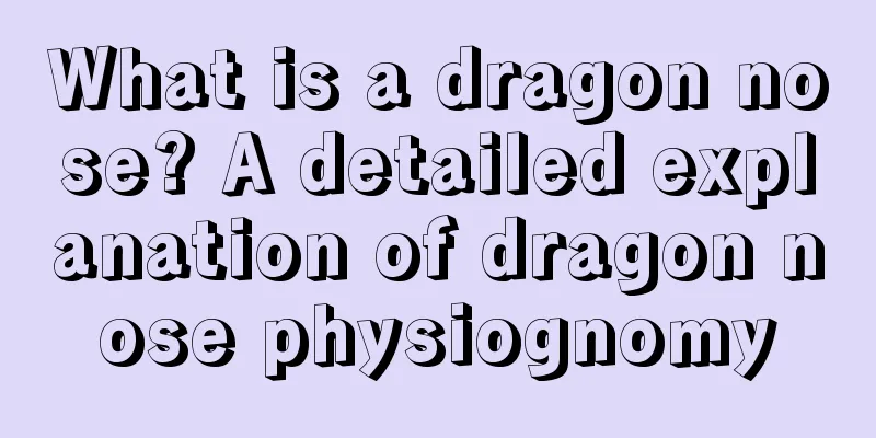 What is a dragon nose? A detailed explanation of dragon nose physiognomy