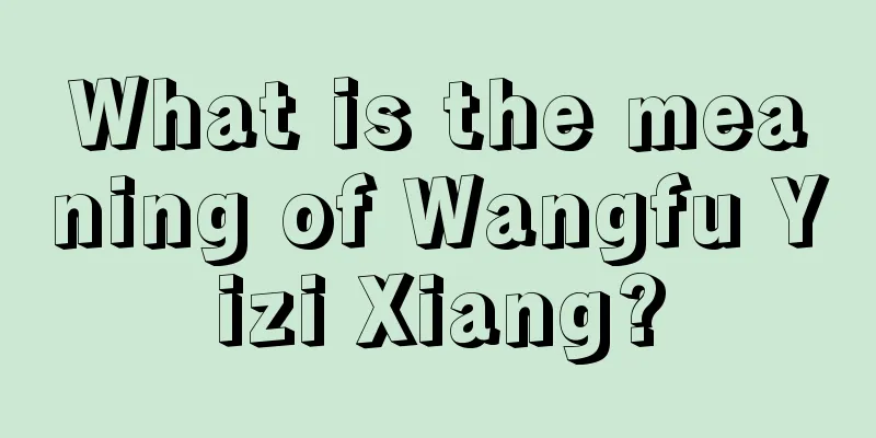 What is the meaning of Wangfu Yizi Xiang?