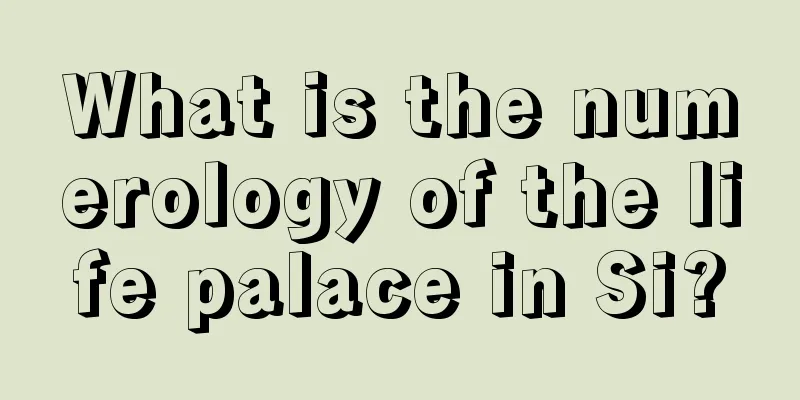 What is the numerology of the life palace in Si?