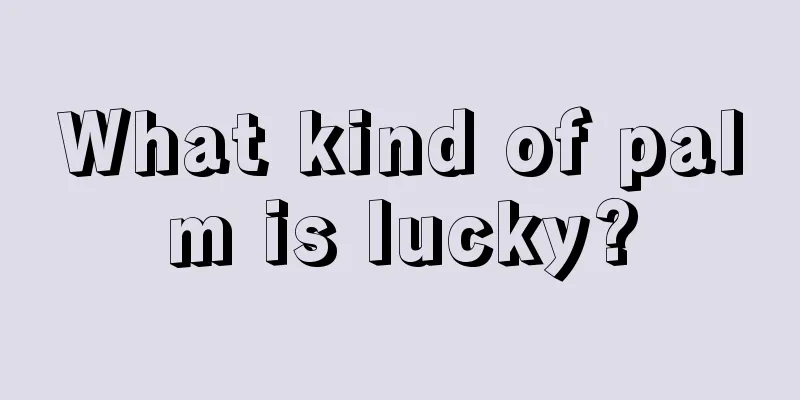 What kind of palm is lucky?