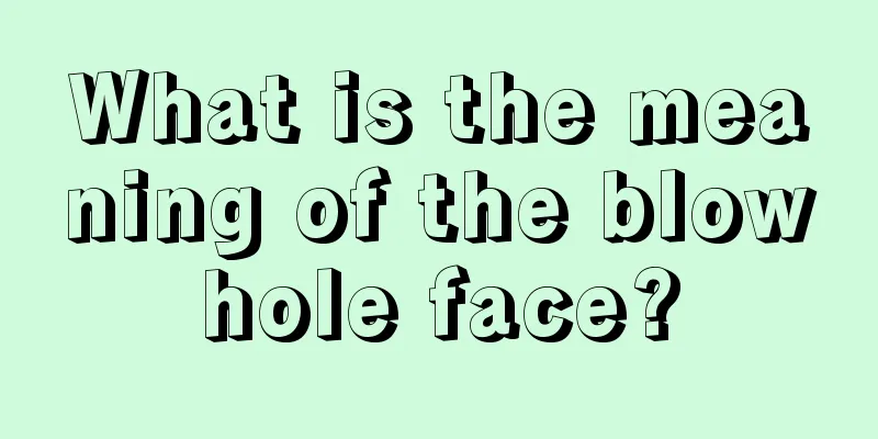 What is the meaning of the blowhole face?