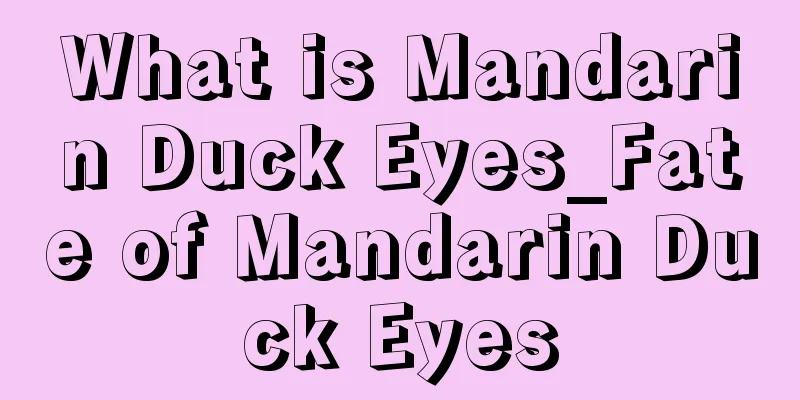 What is Mandarin Duck Eyes_Fate of Mandarin Duck Eyes