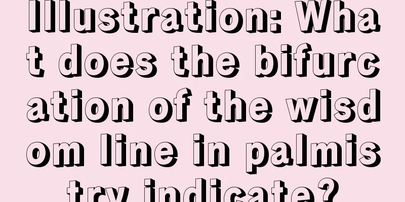 Illustration: What does the bifurcation of the wisdom line in palmistry indicate?