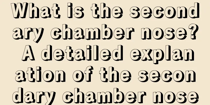 What is the secondary chamber nose? A detailed explanation of the secondary chamber nose