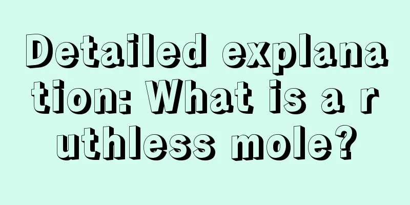 Detailed explanation: What is a ruthless mole?