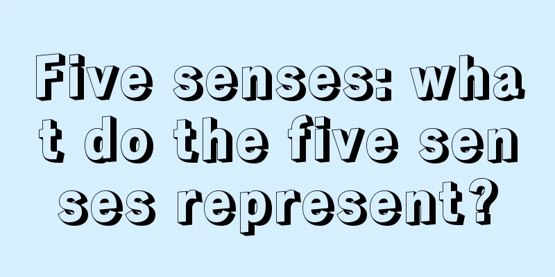 Five senses: what do the five senses represent?