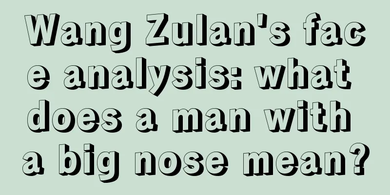 Wang Zulan's face analysis: what does a man with a big nose mean?