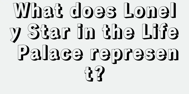 What does Lonely Star in the Life Palace represent?