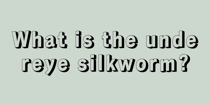 What is the undereye silkworm?