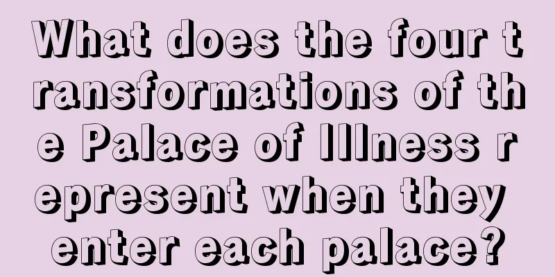 What does the four transformations of the Palace of Illness represent when they enter each palace?
