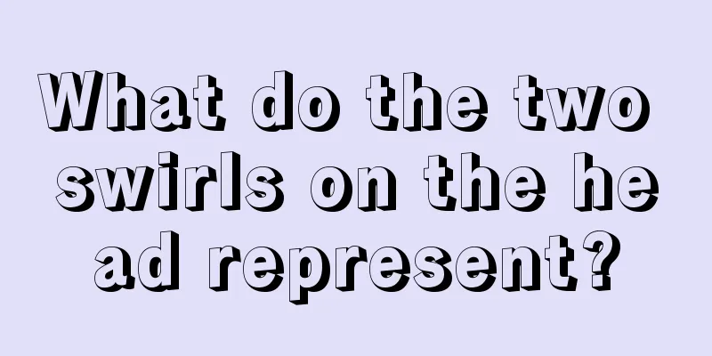 What do the two swirls on the head represent?