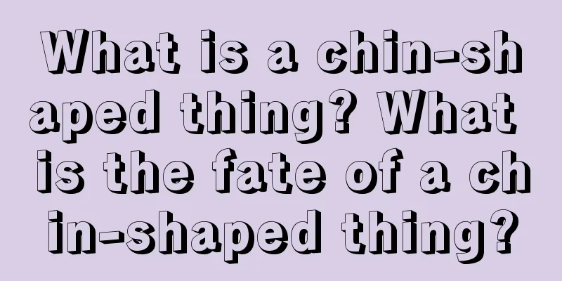 What is a chin-shaped thing? What is the fate of a chin-shaped thing?