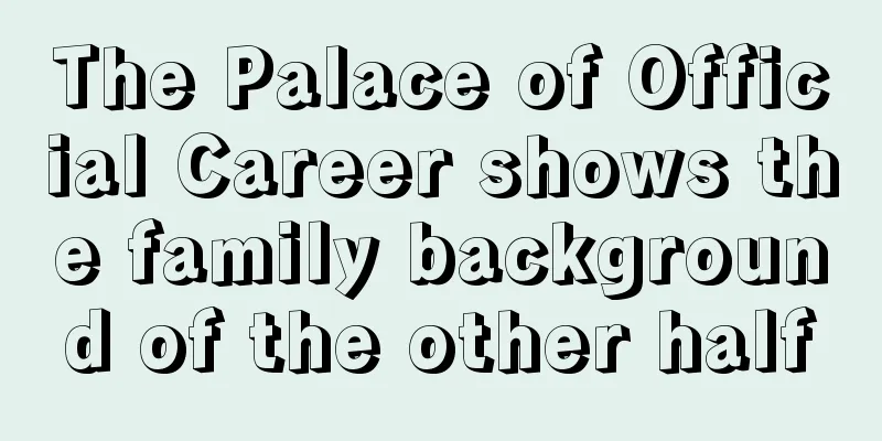 The Palace of Official Career shows the family background of the other half