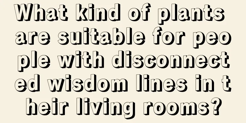 What kind of plants are suitable for people with disconnected wisdom lines in their living rooms?