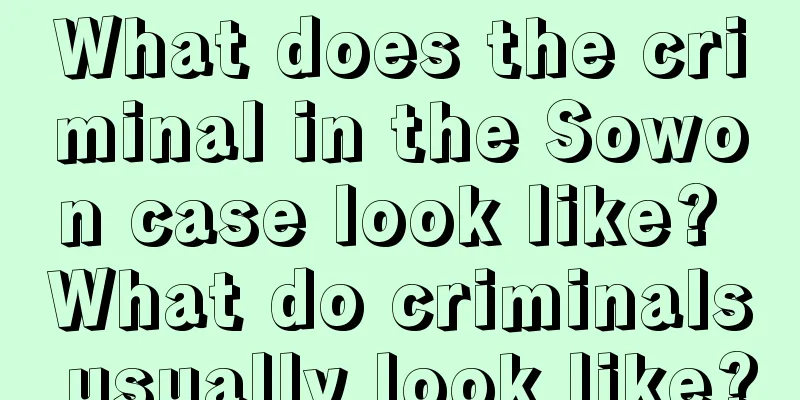 What does the criminal in the Sowon case look like? What do criminals usually look like?