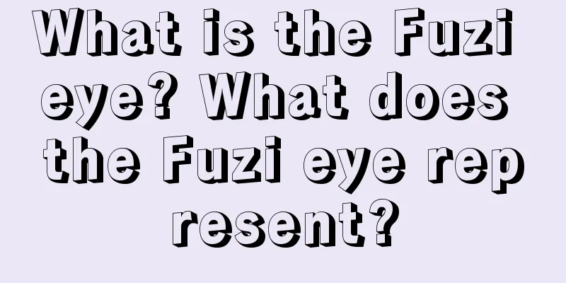 What is the Fuzi eye? What does the Fuzi eye represent?