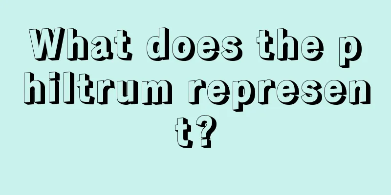 What does the philtrum represent?