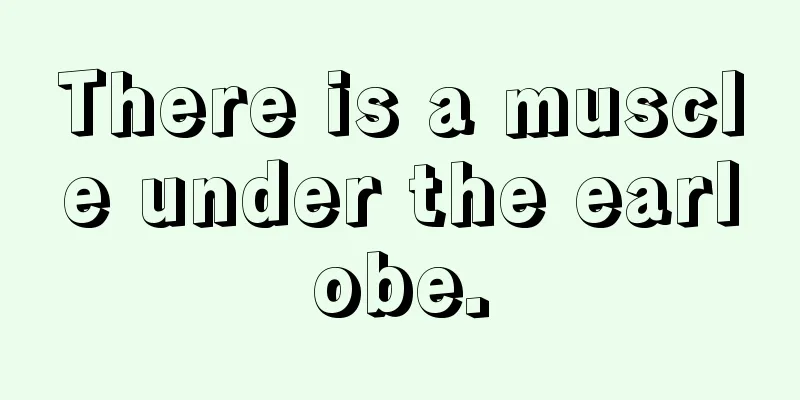 There is a muscle under the earlobe.